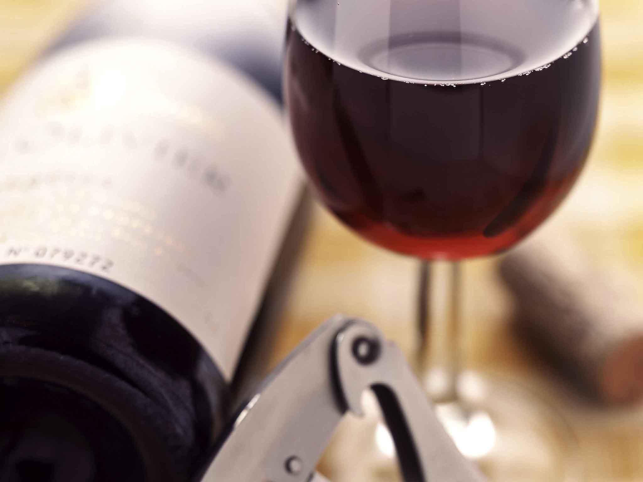 Ibis Bordeaux Route Des Vins 3* Pessac